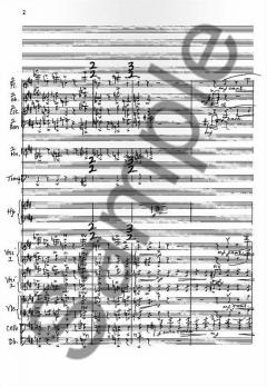 Partita for Orchestra von Richard Rodney Bennett im Alle Noten Shop kaufen