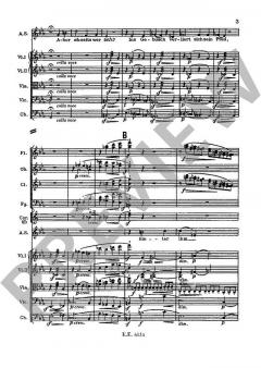 Rhapsodie op. 53 von Johannes Brahms für Alt, Männerchor und Orchester im Alle Noten Shop kaufen