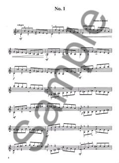 25 Melodic And Progressive Studies Op.60 von Matteo Carcassi 