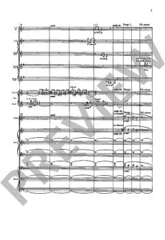 Sinfonie Nr. 1 D-Dur von Gustav Mahler 