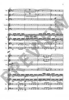 Sinfonie Nr. 8 h-Moll D 759 von Wilhelm Altmann 