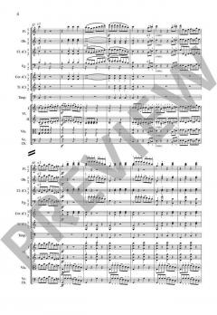 Sinfonie Nr. 1 C-Dur op. 21 von Ludwig van Beethoven 