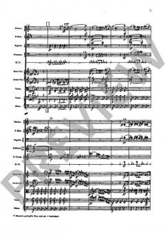 Sinfonie Nr. 6 a-Moll von Gustav Mahler 