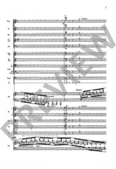 Totentanz von Franz Liszt für Klavier und Orchester (Originalfassung) im Alle Noten Shop kaufen
