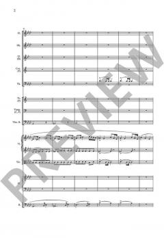 Konzertstück f-Moll op. 79 