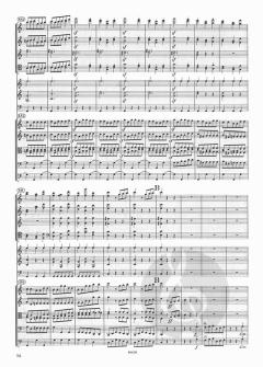 Symphonie Nr. 5 c-Moll op. 67 von Ludwig van Beethoven 