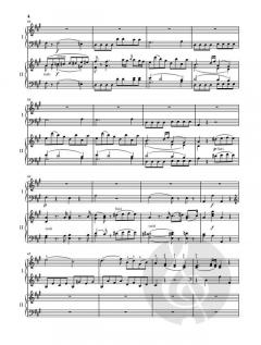 Klavierkonzert A-dur KV 488 von Wolfgang Amadeus Mozart im Alle Noten Shop kaufen - HN767