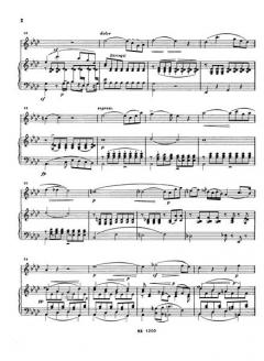 Introduktion, Thema und Variationen op. 102 von Johann Nepomuk Hummel 