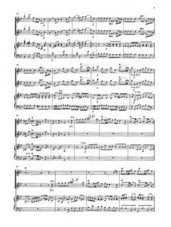 Flötenkonzert g-moll von Johann Joachim Quantz im Alle Noten Shop kaufen