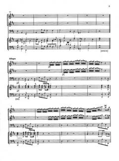 Sinfonia Decima a 7 von Giovanni Battista Bononcini 