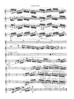 Fantasie und Variationen über ein Thema von Danzi op. 81 (Louis Spohr) 