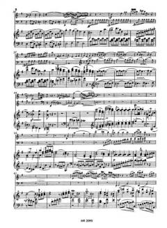 Klaviertrio G-dur op. 65 (Johann Nepomuk Hummel) 