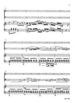 Concertino in a-moll (Ludwig Milde) 