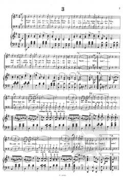 An der schönen blauen Donau op. 314 (Johann Strauss (Sohn)) 