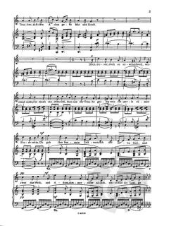 Wein, Weib und Gesang op. 333 von Johann Strauss (Sohn) 