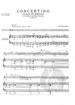 Concertino op. 45/7 von Lars-Erik Larsson 