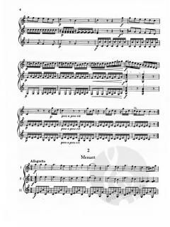 Leichtes Trio C-Dur op. 26 von Leonhard von Call 