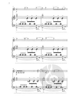 Le Grand Tango von Astor Piazzolla 