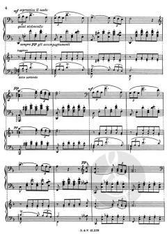 Serenade, Transcription pour Piano Par Franz Liszt von Franz Schubert 