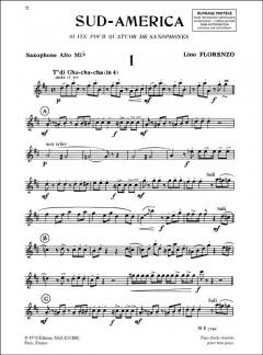 Sud America von Lino Florenzo 
