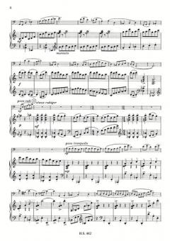 Capriccio für Fagott und Klavier (Anton Schaefers) 