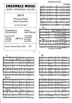Pizzicato Polka (Josef Strauss) 