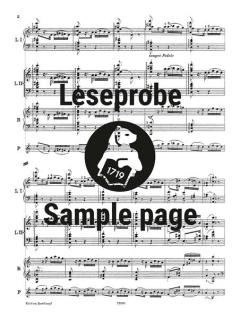 6 Etüden nach Paganini Nr. 6 von Franz Liszt 