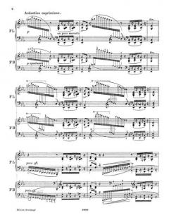 6 Etuden nach Paganini Nr. 2 von Franz Liszt 