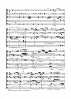 Streichquintett C-dur op. post. 163 D 956 von Franz Schubert im Alle Noten Shop kaufen (Stimmensatz)