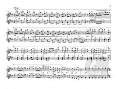 Dumky Klaviertrio op. 90 von Antonín Dvorák im Alle Noten Shop kaufen