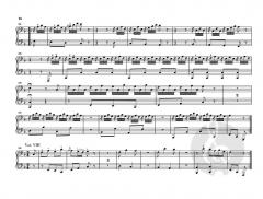 Divertimento 'Il maestro e lo scolare' Hob. XVIIa:1 von Joseph Haydn 