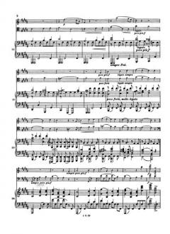 Klaviertrio Nr. 1 H-dur op. 8 (Johannes Brahms) 