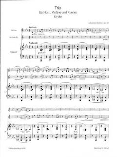 Trio Es-dur op. 40 (Johannes Brahms) 