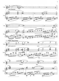 Sonata op. 7 von Fazil Say 