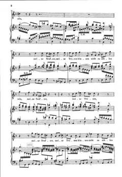 Meine Seufzer, meine Tränen (J.S. Bach) 