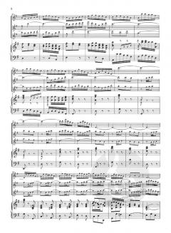 Brandenburgisches Konzert Nr. 4 in G-Dur BWV 1049 (J.S. Bach) 