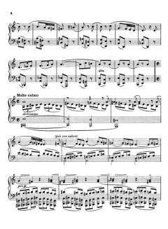 Sonatina von Ferruccio Busoni 