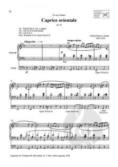 Orgelmusik aus England und Amerika 22: Amerikanische Orgelromantik 1 im Alle Noten Shop kaufen