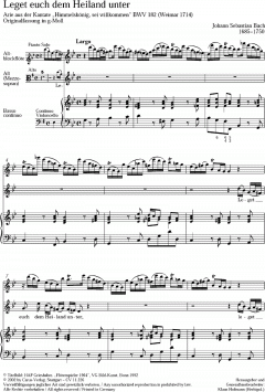 Flauto e voce V 