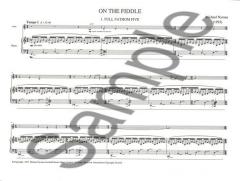 On The Fiddle For Violin And Piano von Michael Nyman im Alle Noten Shop kaufen