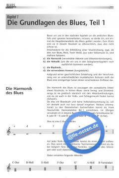 Blues Guitar Rules 