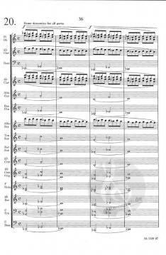 20 Tune Ups (Henk van Lijnschooten) 