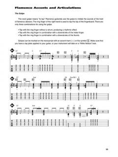 Classical & Fingerstyle Guitar Techniques von David Oakes 