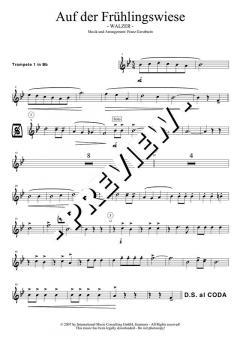 Auf der Frühlingswiese - DOWNLOAD von Franz Gerstbrein (Download) 
