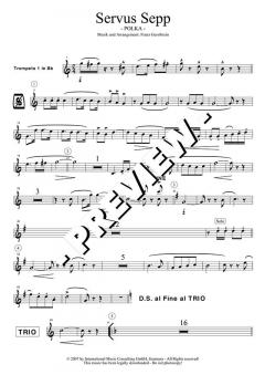 Servus Sepp - DOWNLOAD von Franz Gerstbrein (Download) 