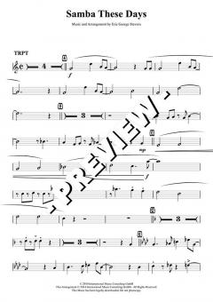 Samba These Days (Eric Stevens) 