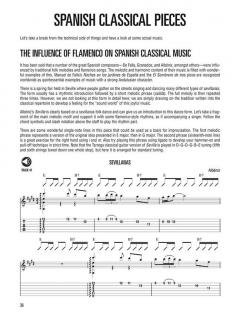 Hal Leonard Flamenco Guitar Method von Hugh Burns 