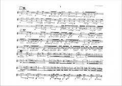 Ombra, Due Pezzi per Clarinetto Contrabbasso von F. Donatoni 