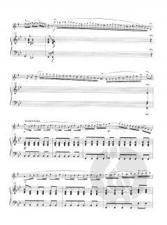 Serenade op. 33 von Jules Demersseman 
