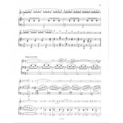 Duo concertant op.16 (Ernest Krähmer) 